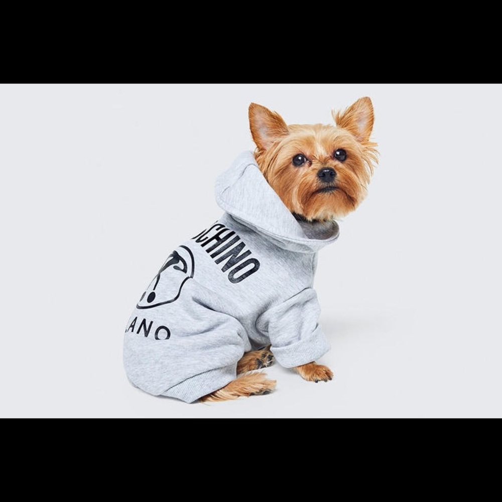 Moschino x H&M hoodie top for dog